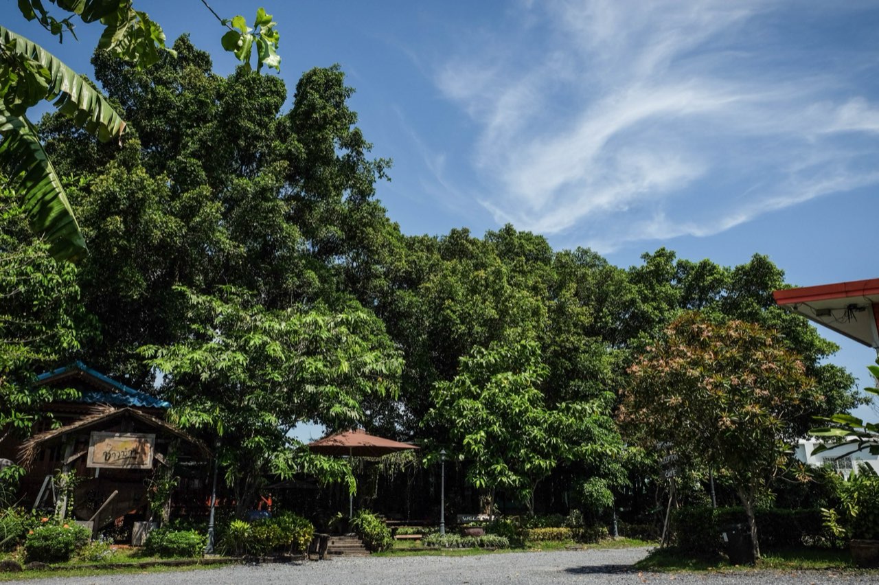 โรงแรม pet friendly ย่านปากเกร็ด เมืองทอง